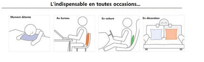 Taie de Coussin (45 x45 cm) - Couleur Tendance